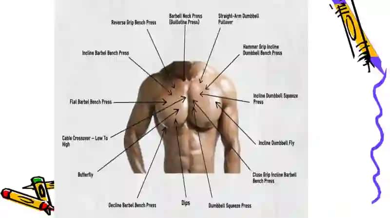 THE chest 3