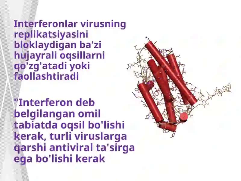 Interferon va sitokinlar sintezlanish va ta’sir mexanizimi 3