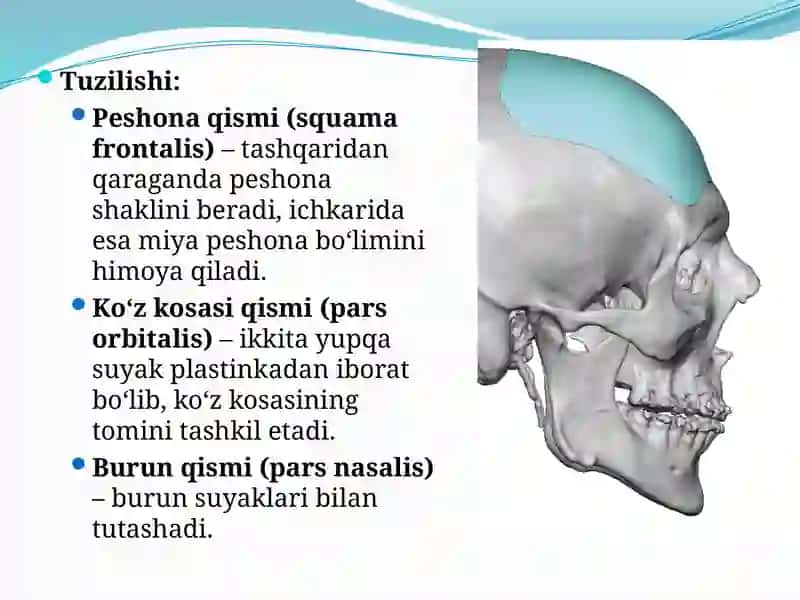 Peshona Suyagi 3