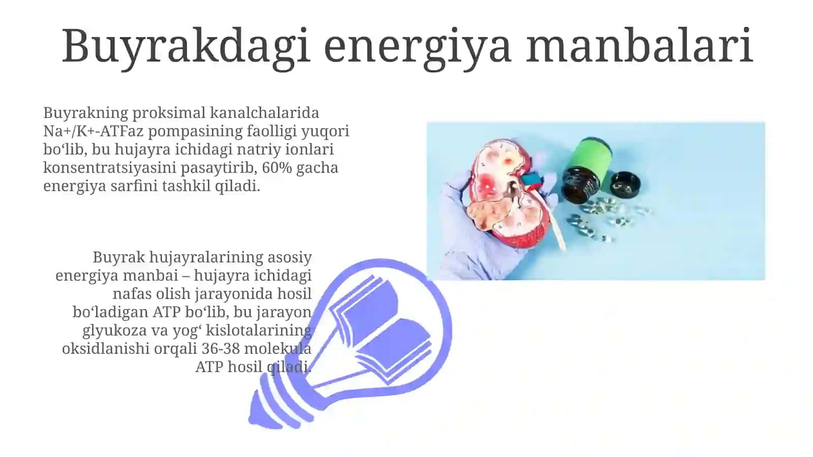 Buyraklarning kalsiy,fosfor va bikarbonat almshinuv energiya taminlanishi 3
