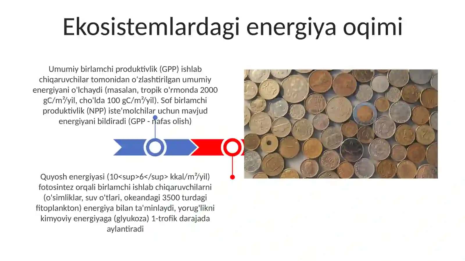 Yerning organik dunyosi tizimi 3