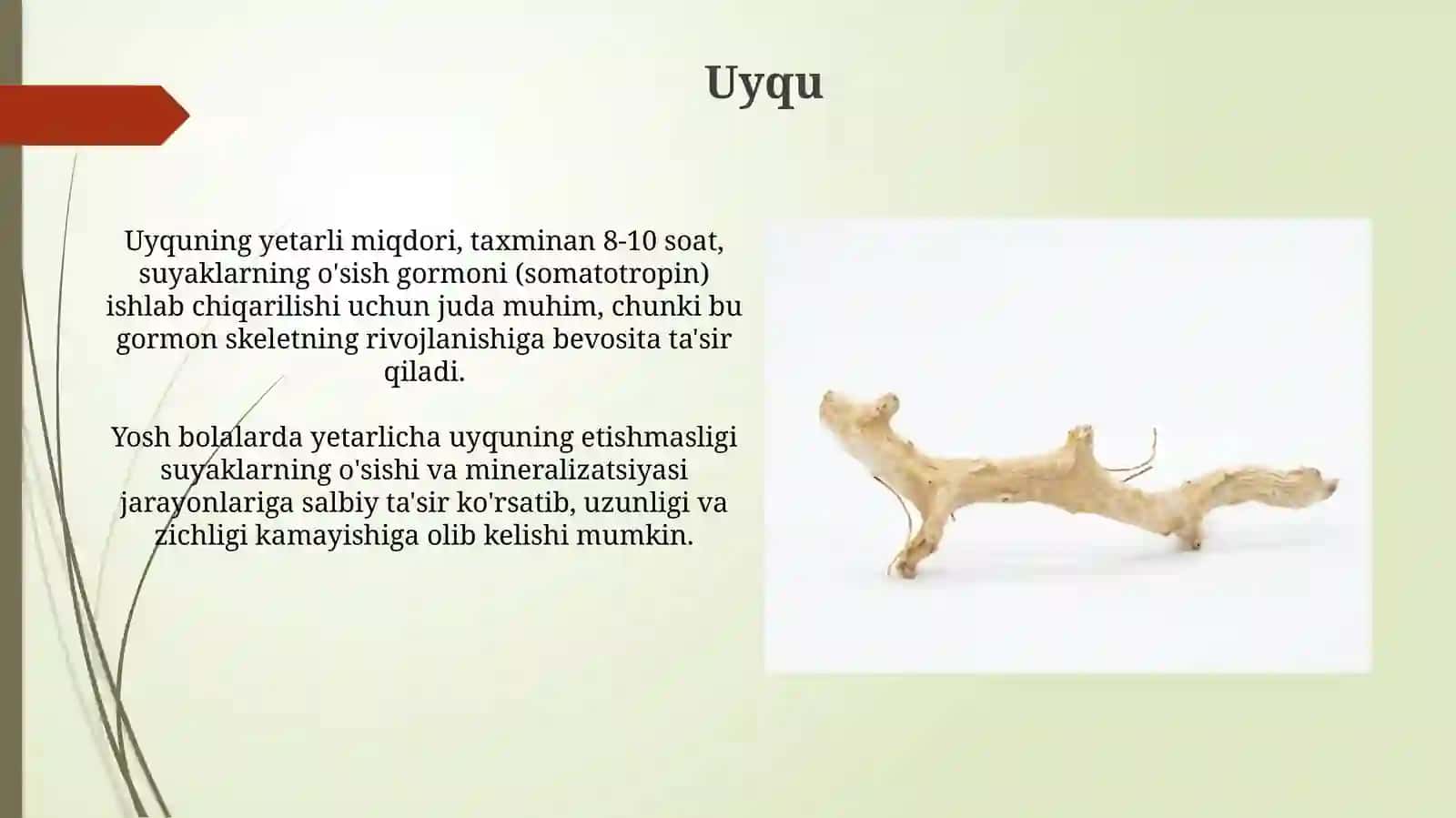 Suyaklarning oʻzishi va rivojlanishiga tasir etuvchi omillar 3