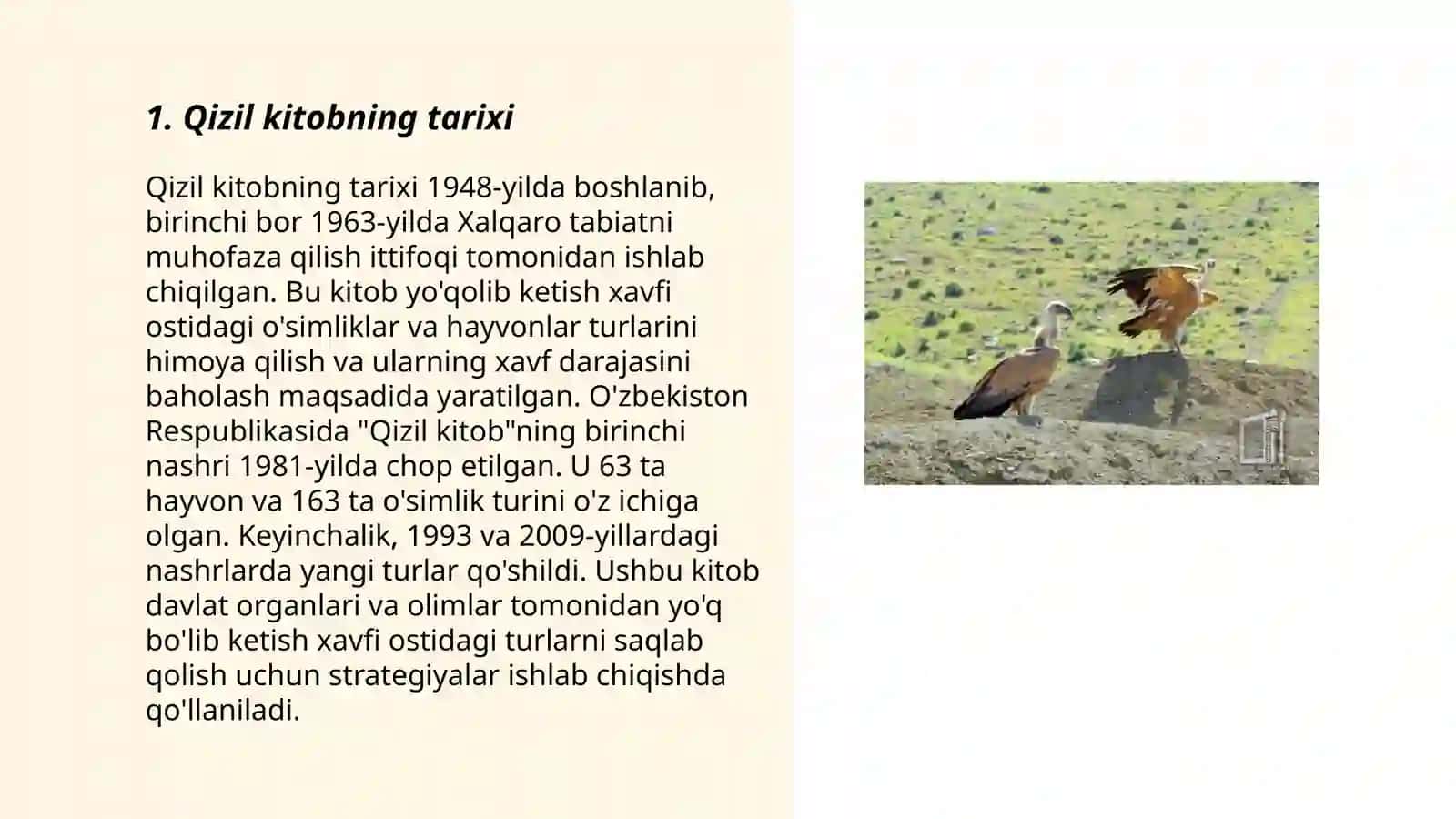 Qizil kitob 3