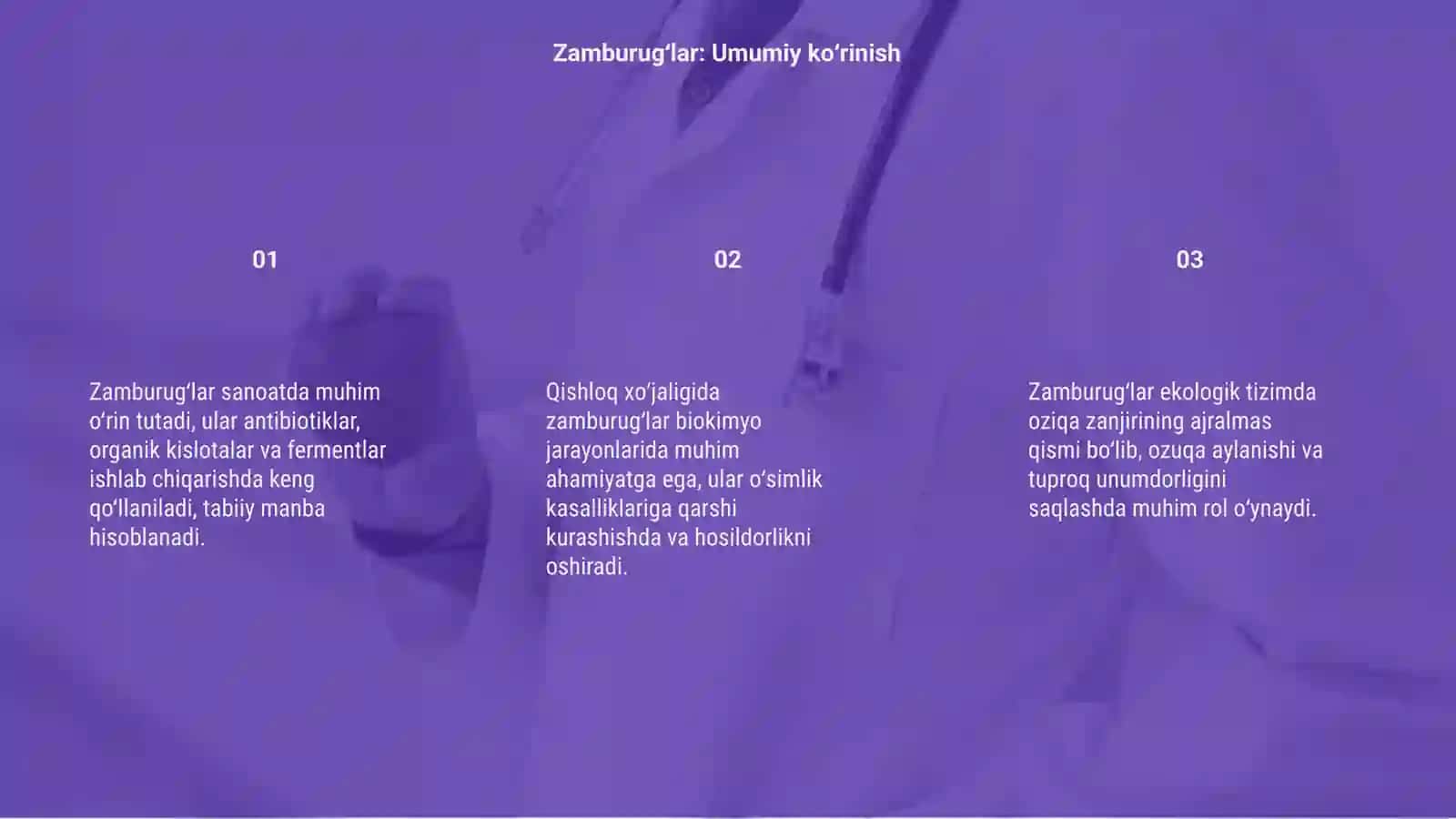 Zamburugʻlarning sanoatda va qishloq xoʻjaligidagi ahamiyati 3