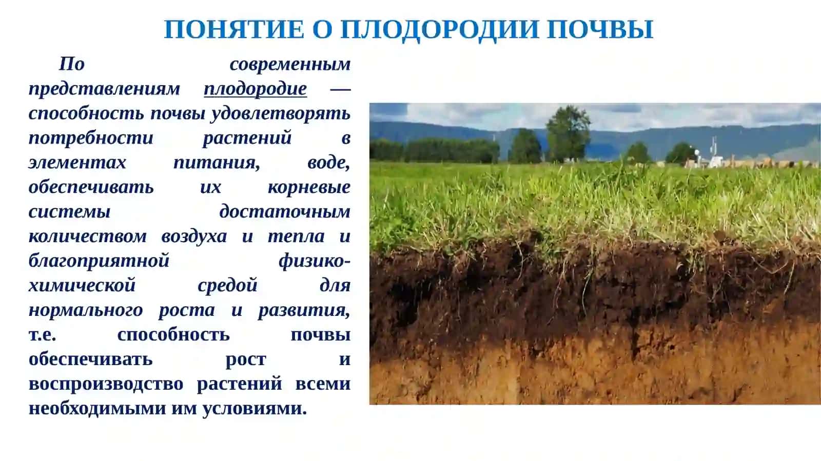 Почвоведение и агрохимия 3