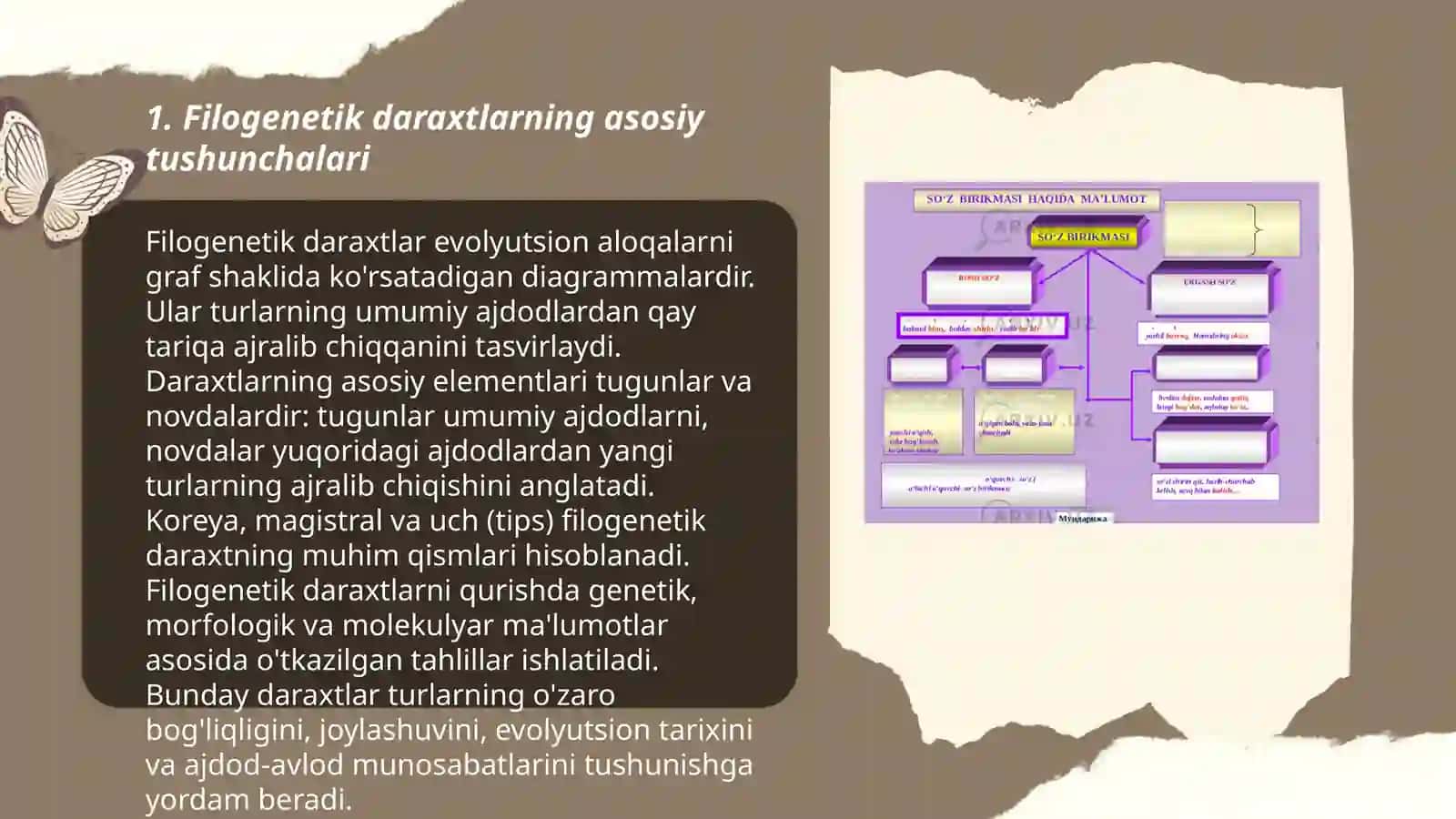 Filogenetik daraxtga oid masala va mashqlar tuzish va tuzish metodikasiga doir taqdimot tuzish 3