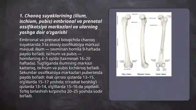 Chanoq kamari va oyoq erkin qismi suyaklari:ularning yoshga doir xususiyatlari 3