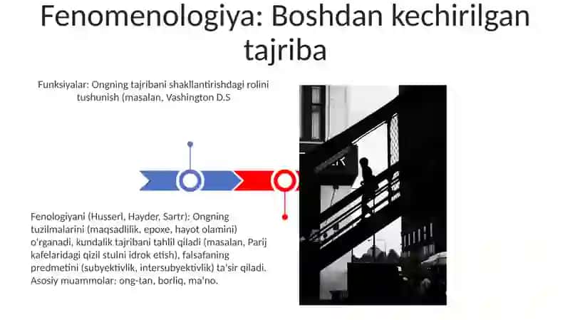 Falsafaning predmeti, asosiy masalalari, tuzulmasi, funksiyalari 3