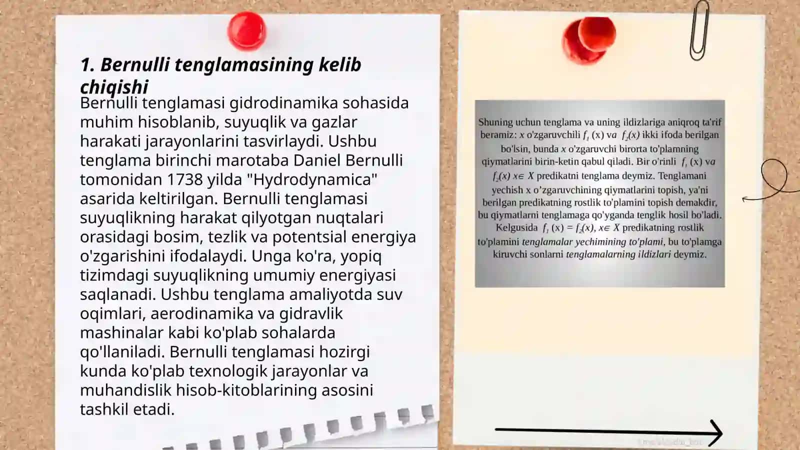 Bernulli tenglamasi 3