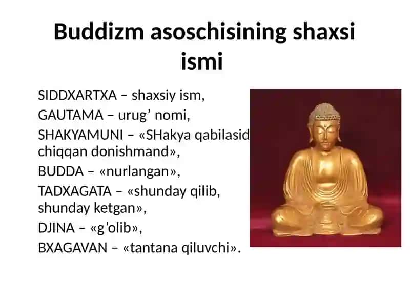 Buddaviylik 3