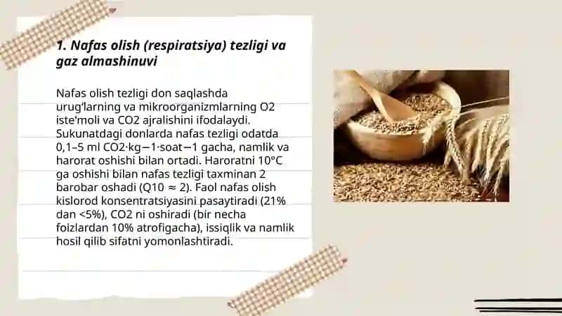 Donni saqlashda kechadigan fiziologik jarayonlar 3