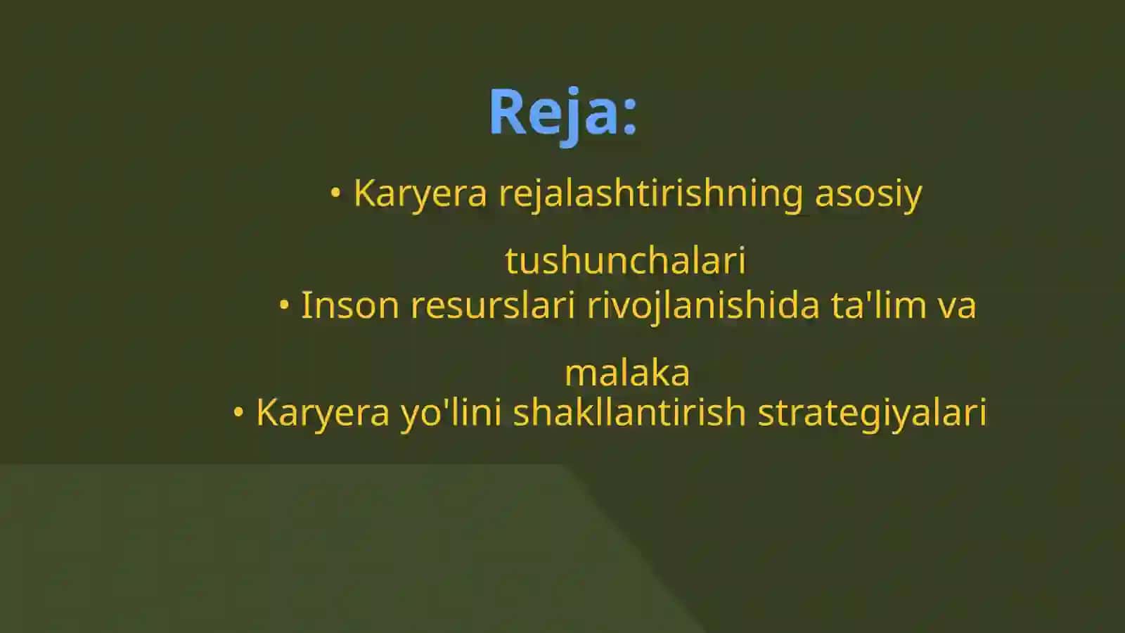 Inson resurslarini karyerasini rejalashtirish va rivojlantirish 3