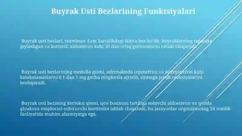 Buyrak Usti Bezining Fiziologiyasi 3