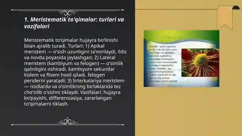 Oʻsimlik toʻqimalari tuzilishi va vazifalari 3