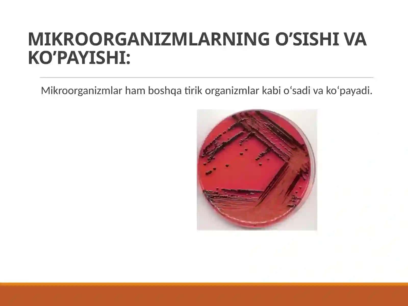 MIKROORGANIZMLARNING O’SISHI VA RIVOJLANISHI 3