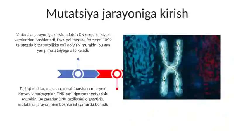 Mutatsion jarayon 3