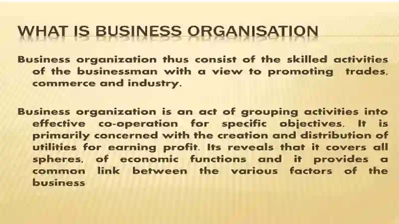 Business Organization 3