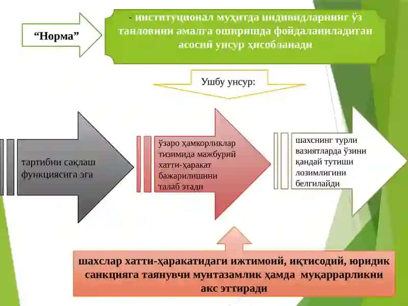 Институтлар ва уларнинг жамият ривожланишидаги роли 3