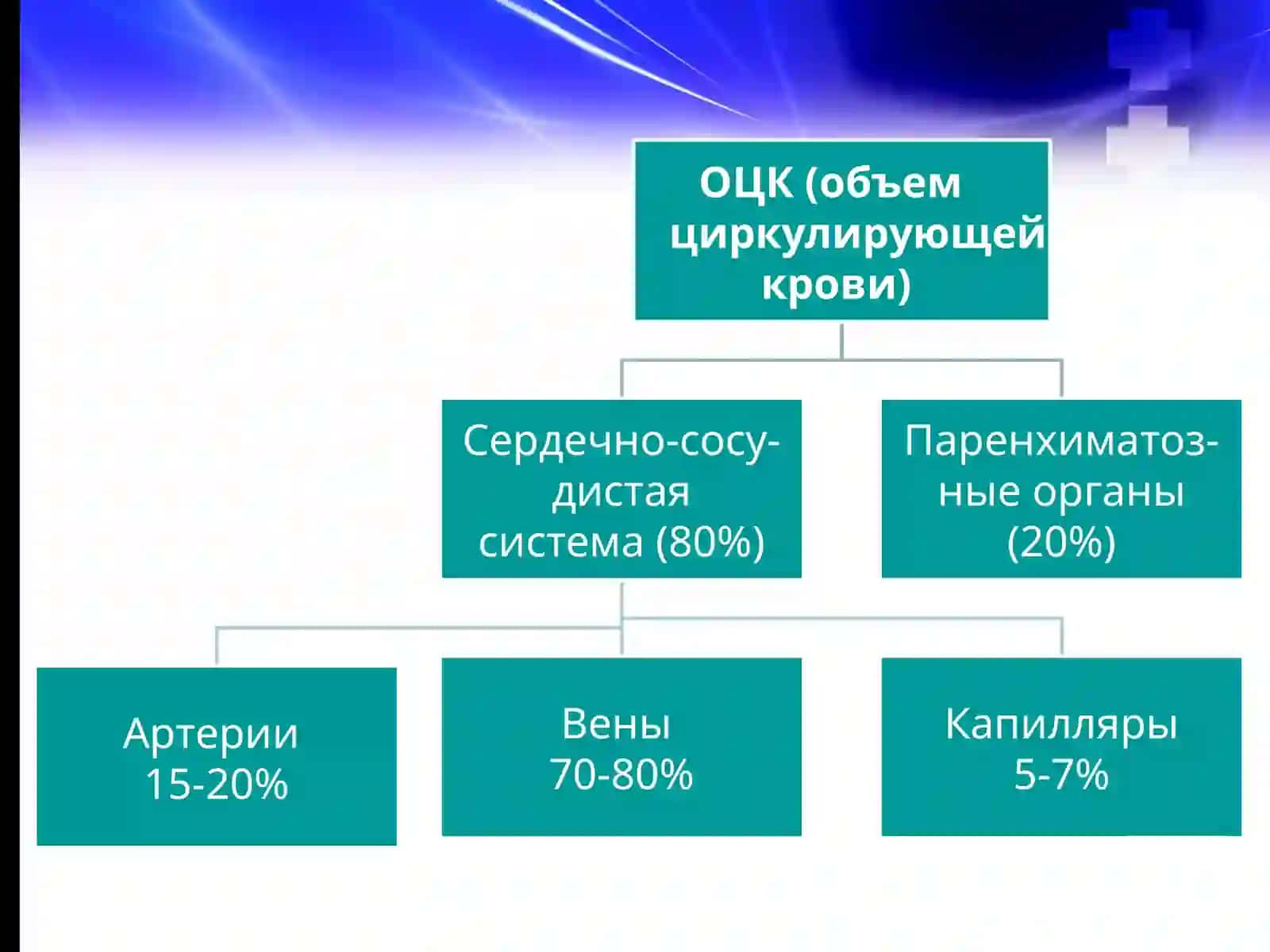 ИНТЕНСИВНАЯ ТЕРАПИЯ МАССИВНОЙ КРОВОПОТЕРИ 3