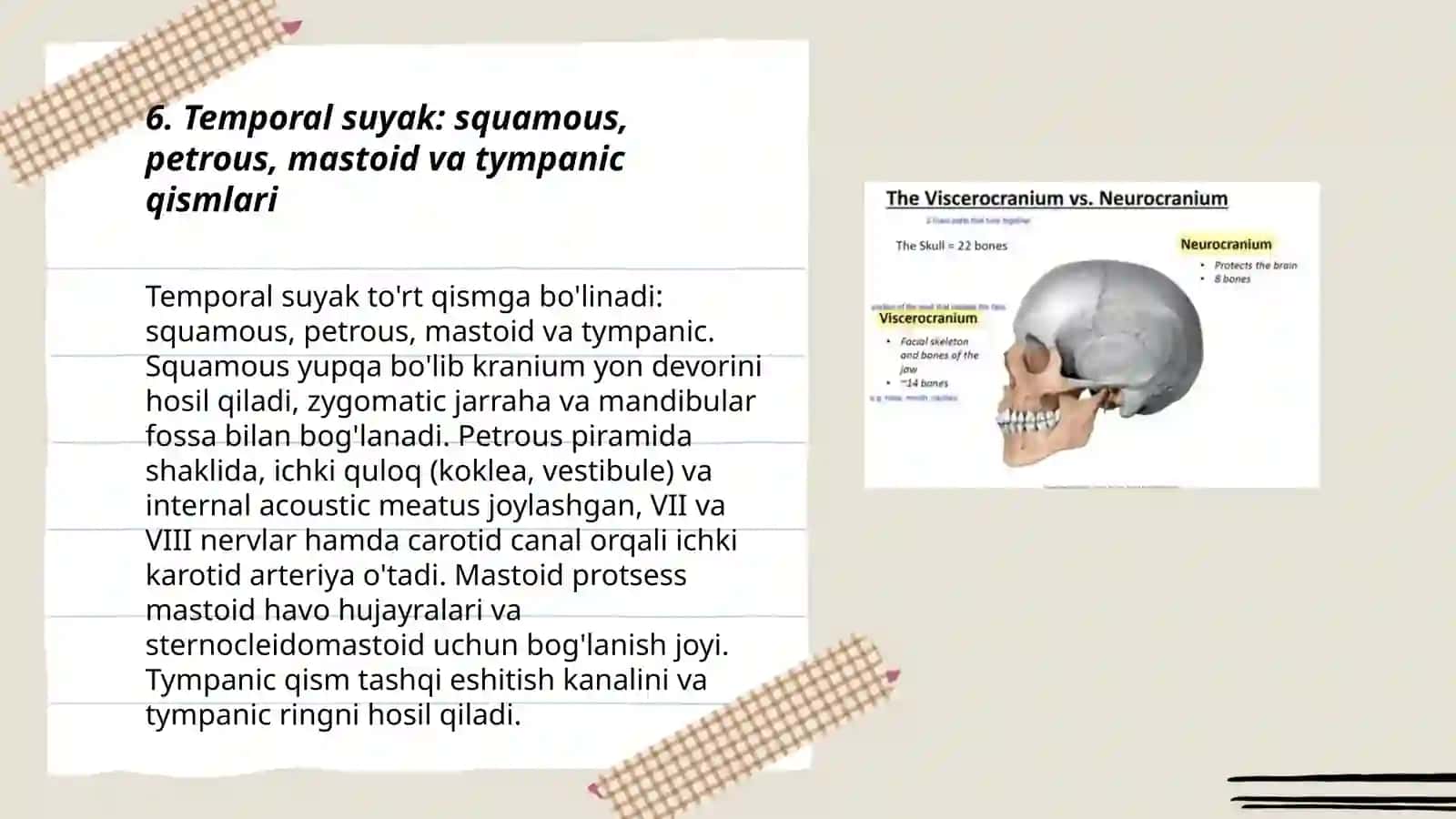 Neurocranium-miya qism suyaklari 3