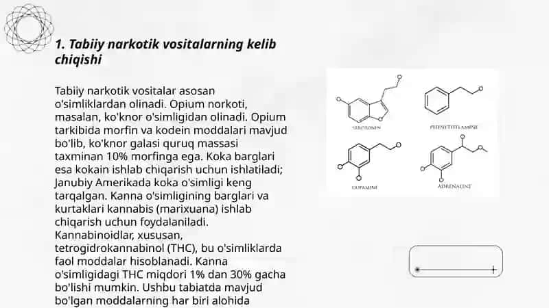 Tabiiy va sintetik narkotik vositalar. Foydasi va zarari 3