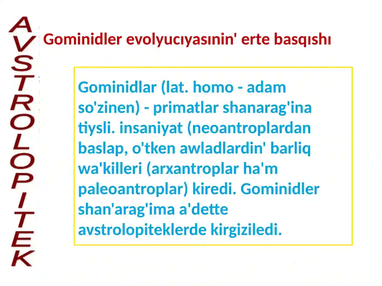 Avstrolopitekler ha'm olardin' turmis ta'rzi 3