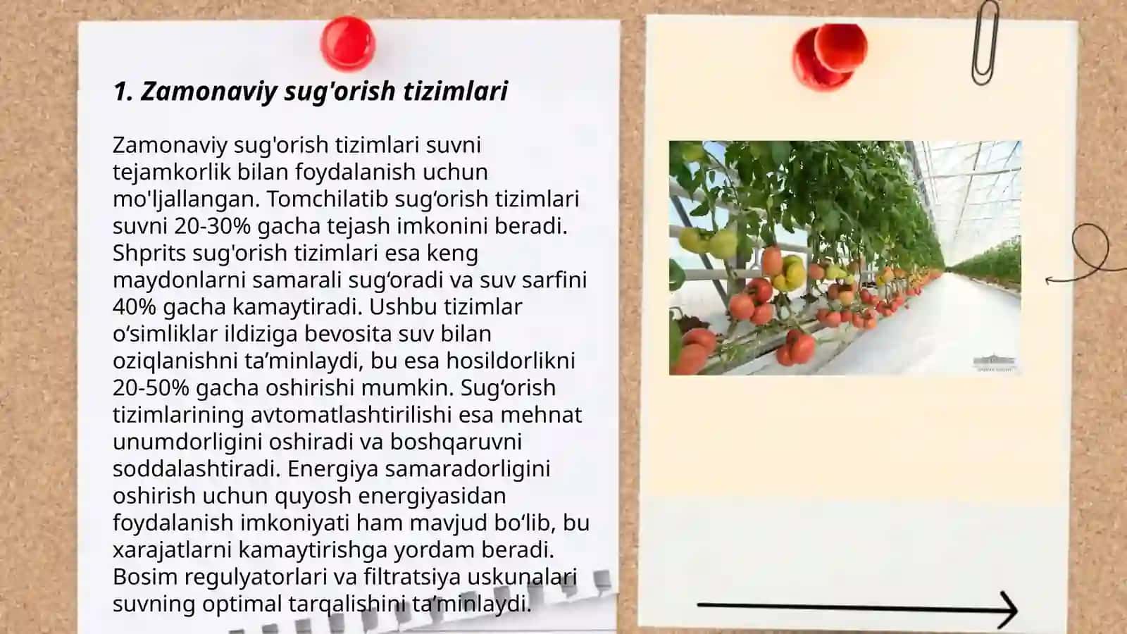 Tomotdosh sabzavot ekinlarining zamonaviy texnologiya asosida yetishtirish 3