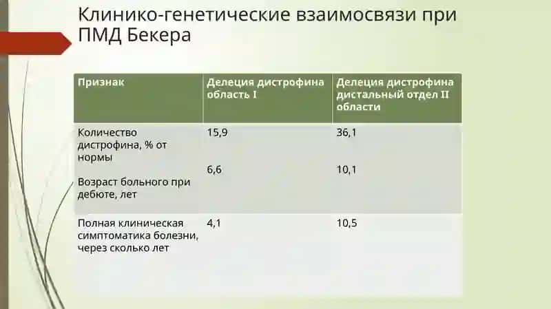 Прогрессирующая мышечная дистрофия Беккера 3