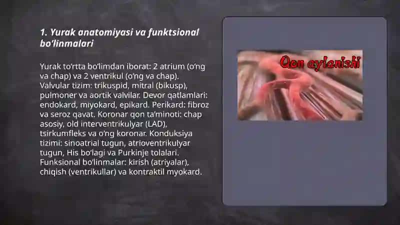 Yurak qon tomir fiziologiyasi 3