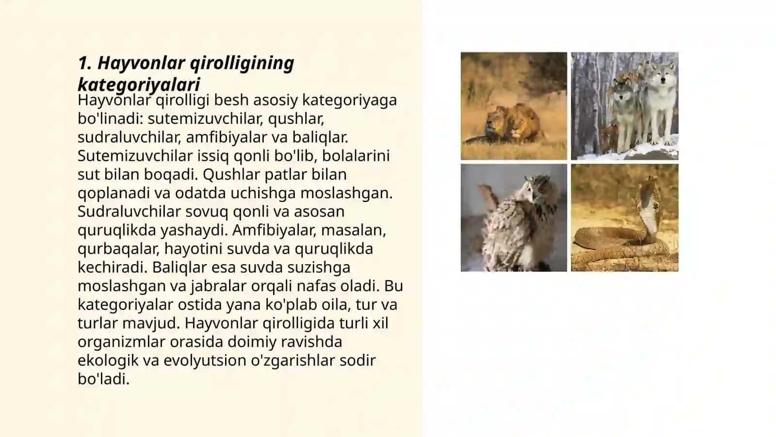 Hayvonot dunyosining hukmronliklarga ajratilishi 3