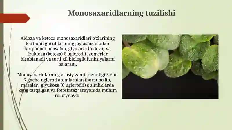 Monosaxaridlar tuzilishi 3
