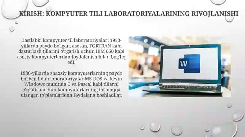 Kompyuter lingafon sinflarining zamonaviy texnik va dasturiy vositalari 3