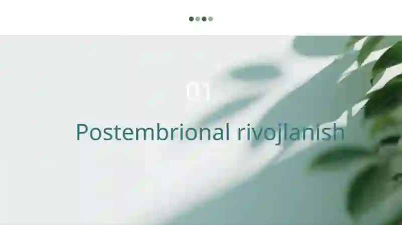Postembrional rivojlanish 3