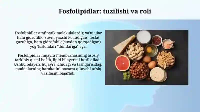 Lipitlar 3