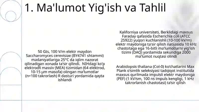 Tajriba O'rnatmasi 3