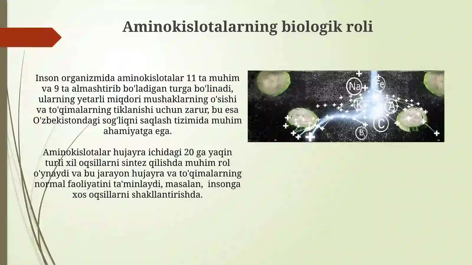 Aminokislotalar. Tuzilishi va xossalari,biologikxususiyatlari 3