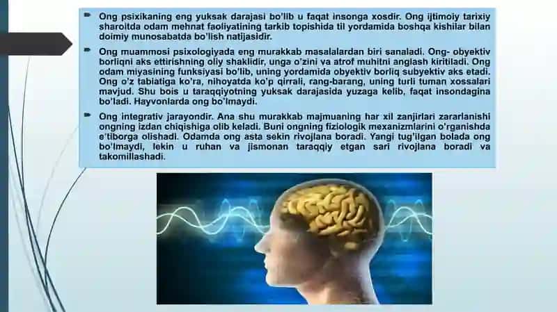 Oliy nerv faoliyati va markaziy asab sistemasi fiziologiyasi fanidan mustaqil ish. 3
