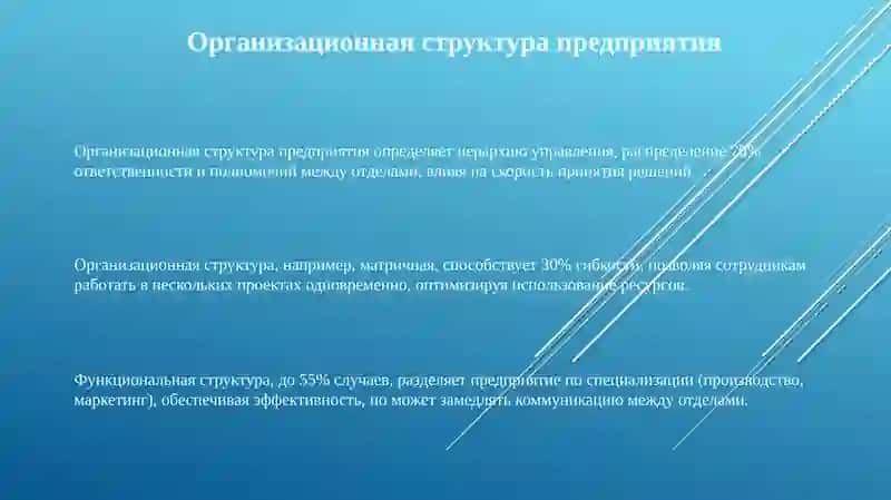 Организационная структура предприятия 3