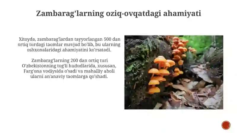Zambarag'larning oziq-ovqatdagi ahamiyati 3