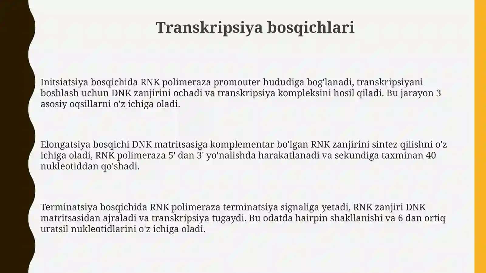 Transkripsiya, splaysing va protsessing 3