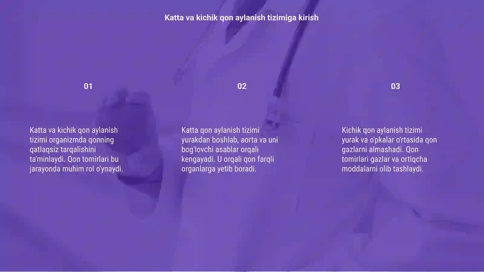 Katta va kichik qon aylanish tizimidagi qon tomirlarining tuzilishi 3