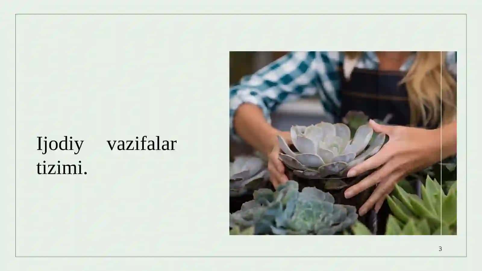 Ijodiy vazifalar tizimi 3