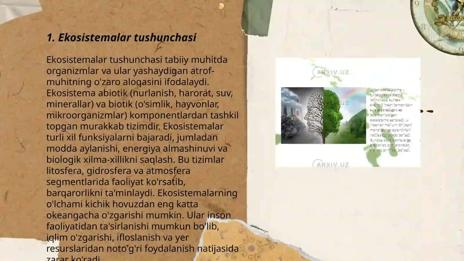 Ekosistemalar ekalogiyasi 3