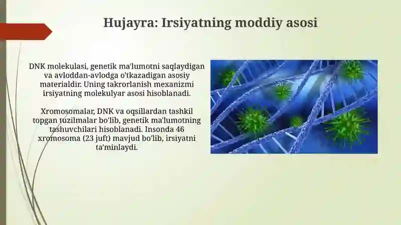 Hujayra irsiyatning moddiy asosi ekanligi 3