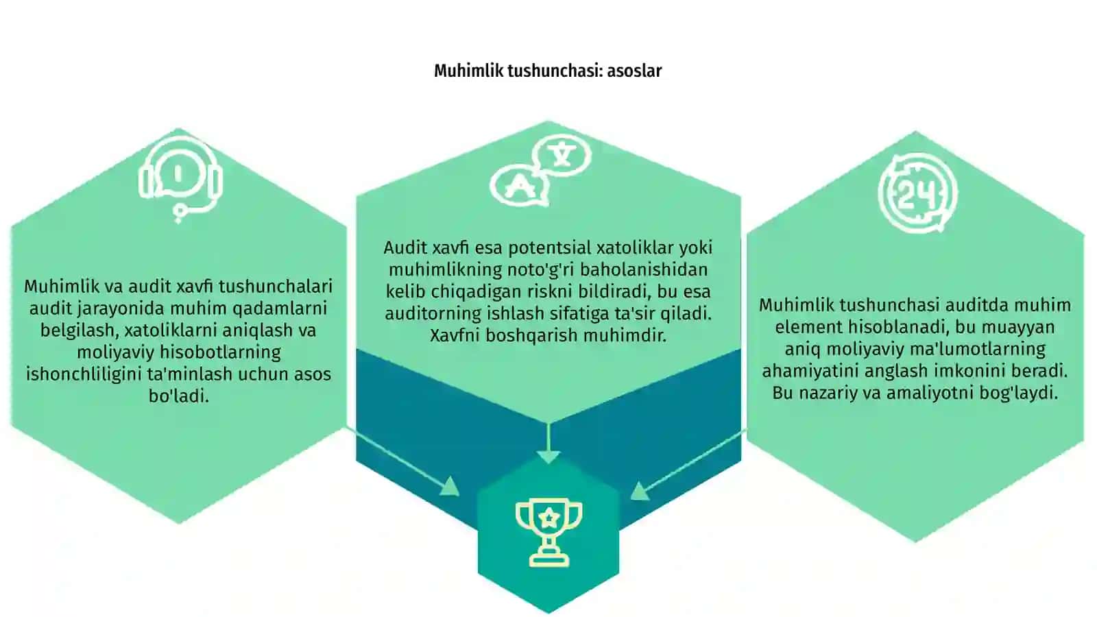 Muhimlik va audit xavfi tushunchalari: nazariya va amaliyot 3