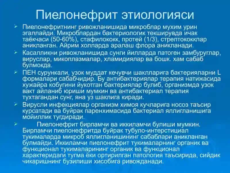 Пиелонефритлар 3