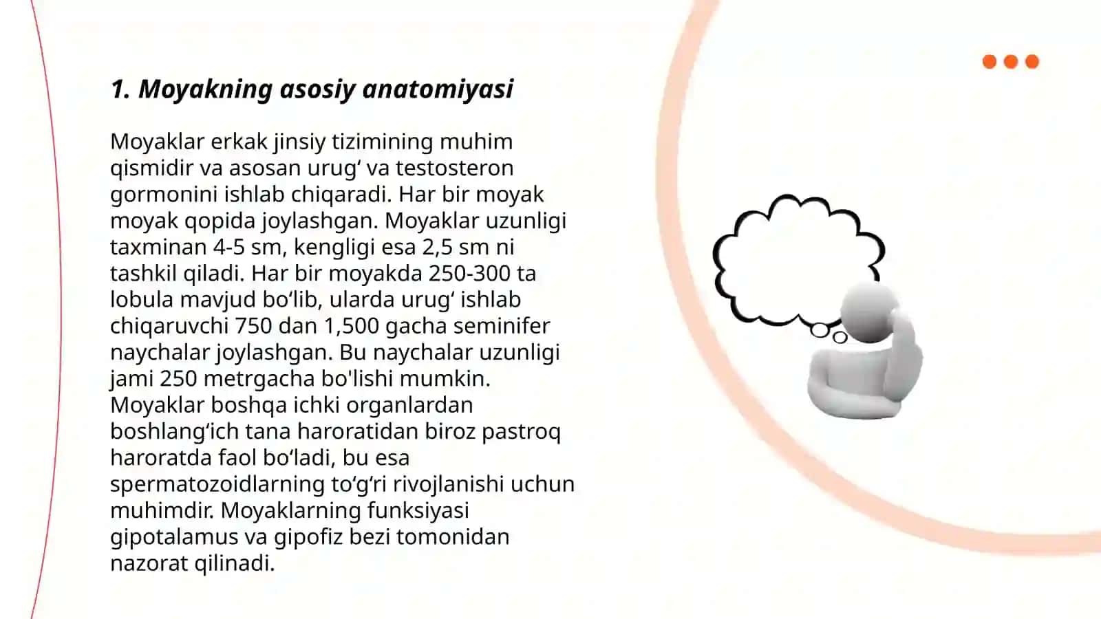 Moyakning yorg'oqqa tushish jarayoni va jinsiy a'zolarning rivojlanish nuqsonlari 3