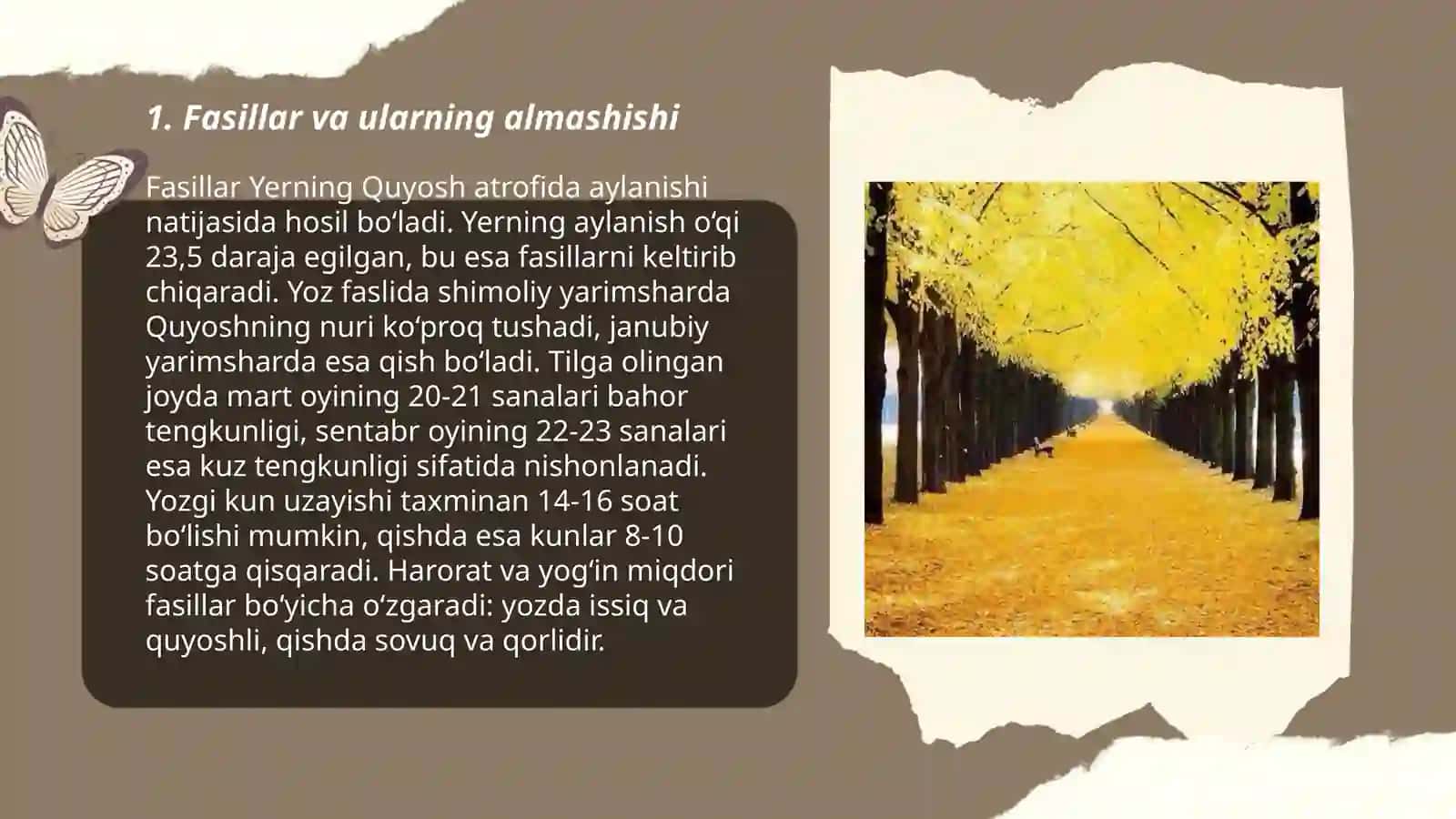 Fasillar 3