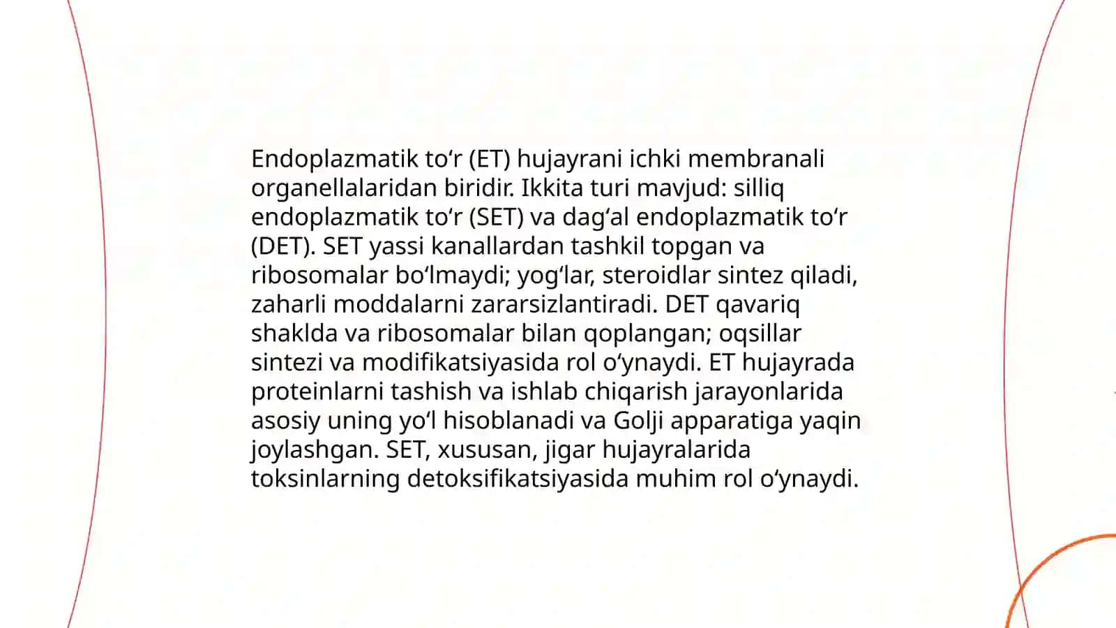 Endoplazmatik toʻr 3