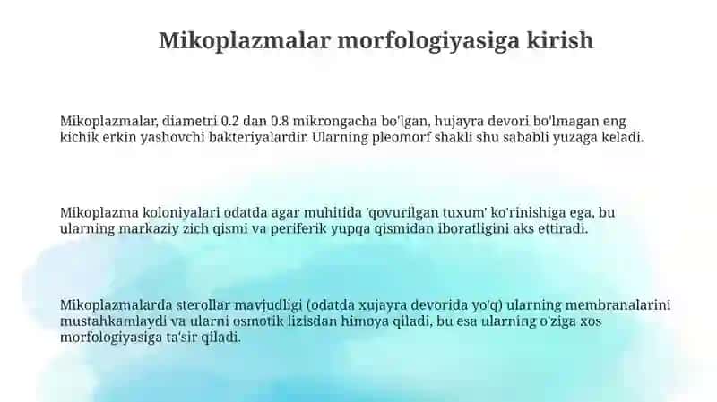 Mikoplazmalar, xlamidiyalar, spiroxetalar va zamburug'lar morfologiyasi 3